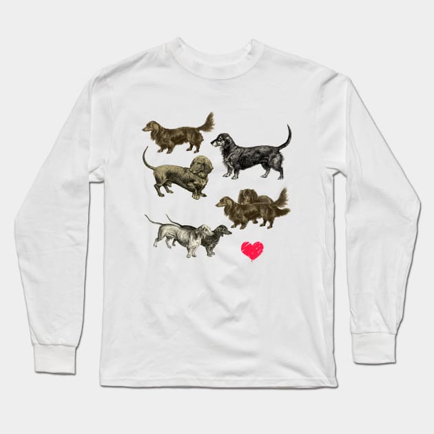 I LOVE DACHSHUNDS Long Sleeve T-Shirt by Biophilia